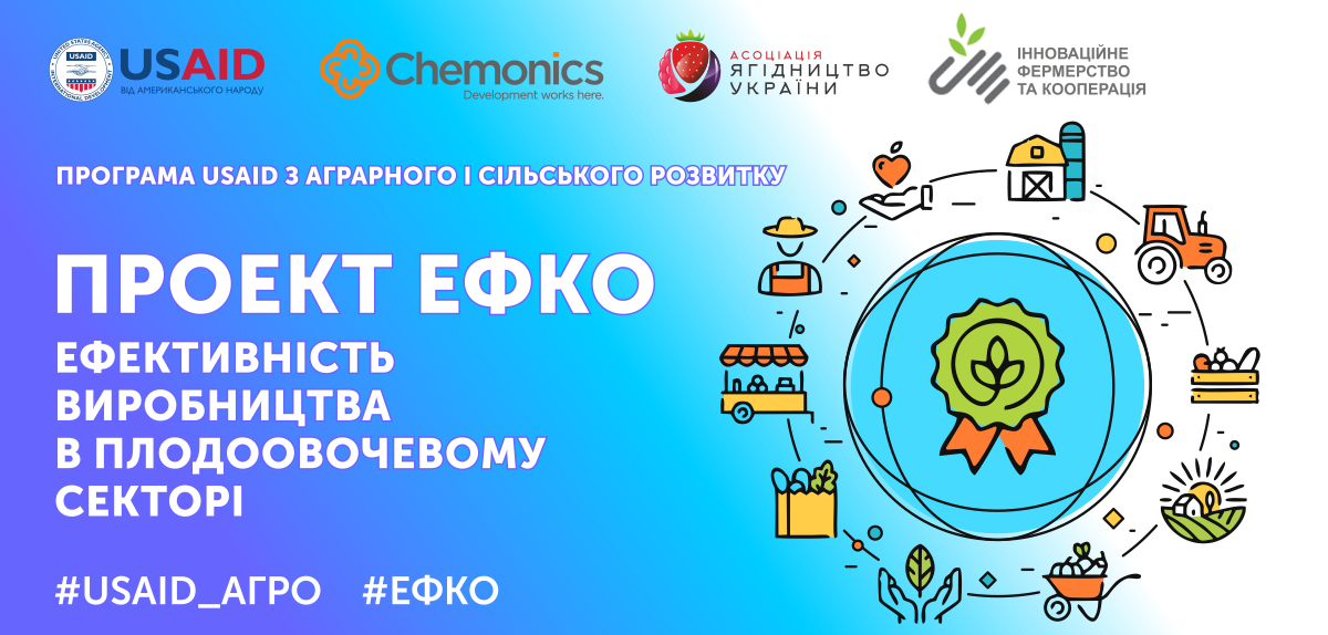 ЕФКО: ефективність виробництва в плодовоочевому секторі